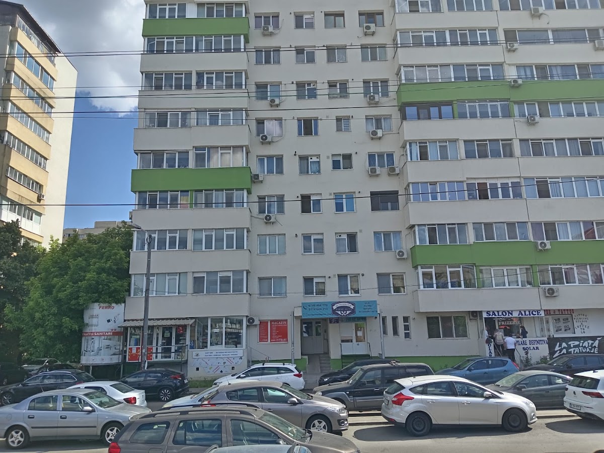 Service GSM & It Delfinului